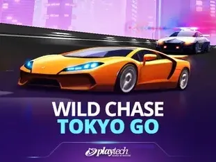 Wild Chase_ Tokyo Go